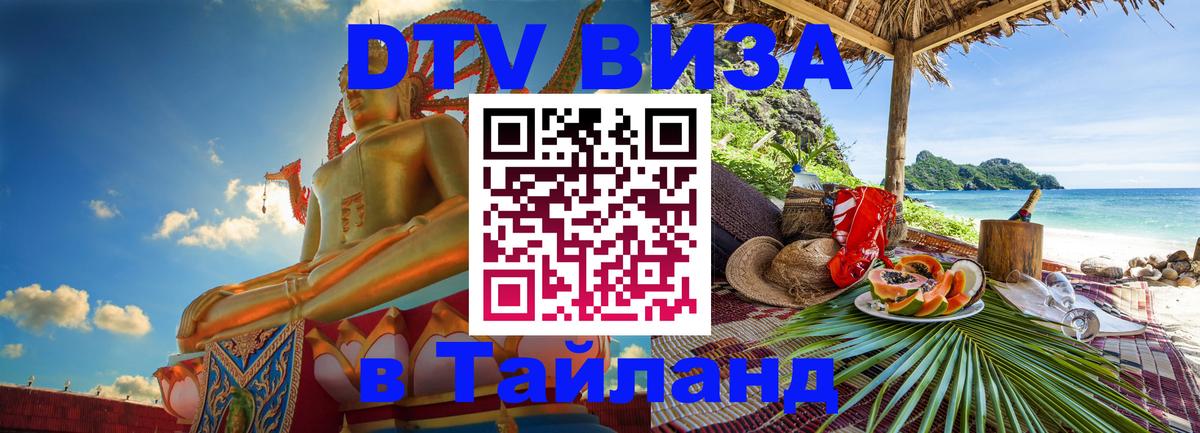 Оформление DTV визы под ключ: стоимость и тарифы, только загранпаспорт - Пушкино 